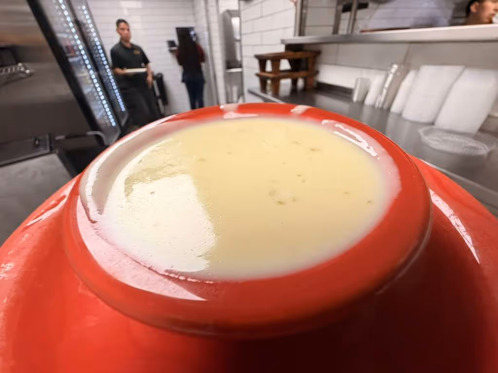 CHEESE DIP - large