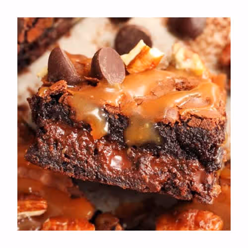 TURTLE BROWNIE